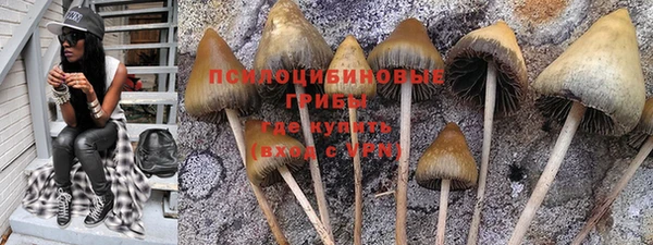 твердый Алзамай