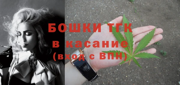 индика Осташков