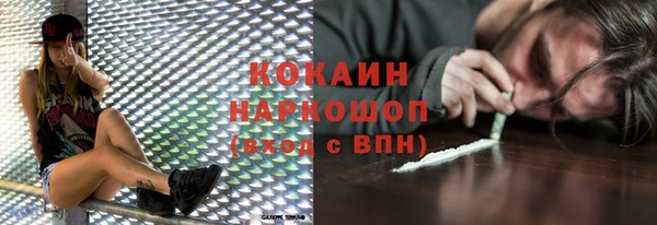 твердый Алзамай
