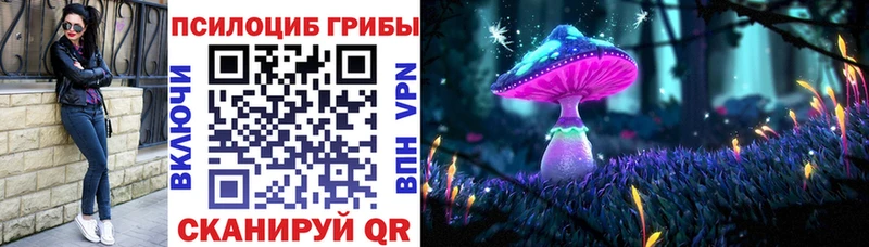 где найти   Нарьян-Мар  Галлюциногенные грибы Cubensis 